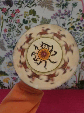 Plate Spinning GIF - Plate Spinning Horse GIFs