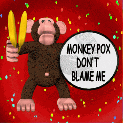 Monkeypox Virus Monkey Pox GIF - Monkeypox Virus Monkey Pox Monkey Disease GIFs