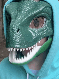 a person wearing a blue hoodie and a green dinosaur mask on their face