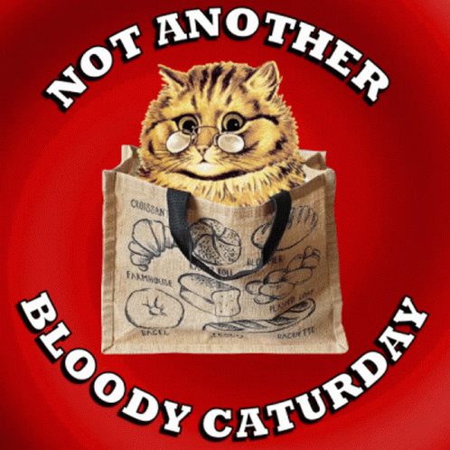 Not Another Caturday Not Another Saturday GIF - Not Another Caturday Not Another Saturday Caturday GIFs