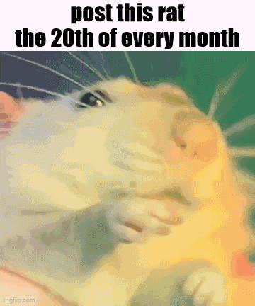 a picture of a rat with the caption post this rat the 20th of every month .