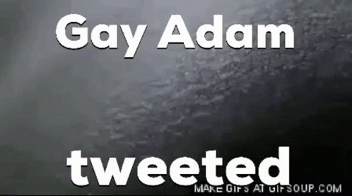 Gay Adam GIF - Gay Adam Ayyyitsnotadam GIFs