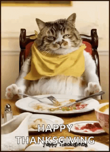 Thanksgiving Cat GIF - Thanksgiving Cat Thanksgiving Dinner GIFs