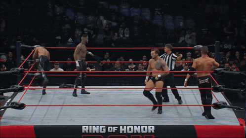 wrestlers in a ring with the words ring of honor on it