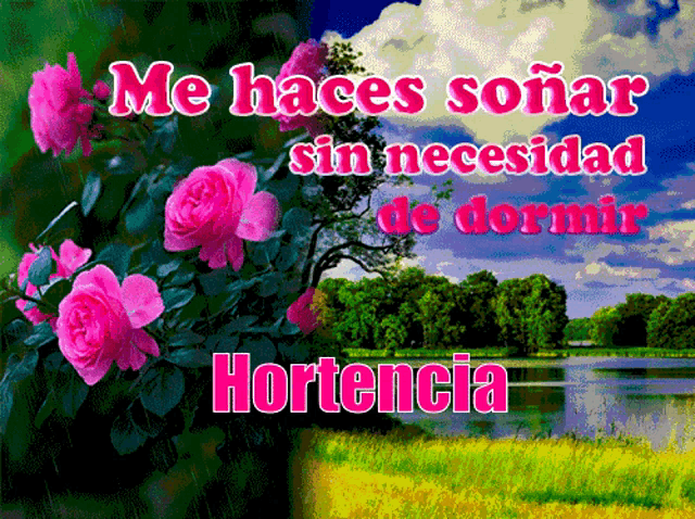 a poster with pink roses and the words me haces soñar sin necesidad de dormir