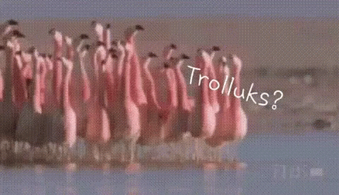 Trolluks Pink Flamingo GIF - Trolluks Pink Flamingo Squad Goals GIFs