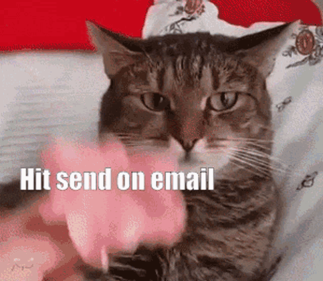 Hacat Email GIF - Hacat Email Cute GIFs