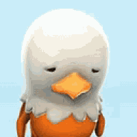 Animation Chick GIF