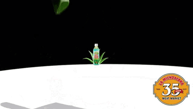 a bottle of aloe drink next to a plant