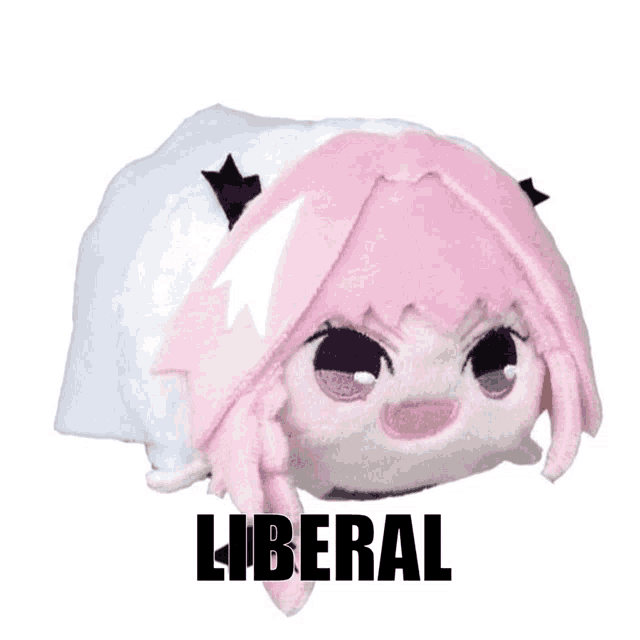 a stuffed animal with pink hair and the word liberal underneath it