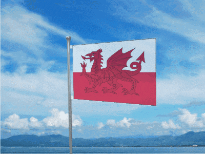 a red and white flag with a dragon on it flies in the wind