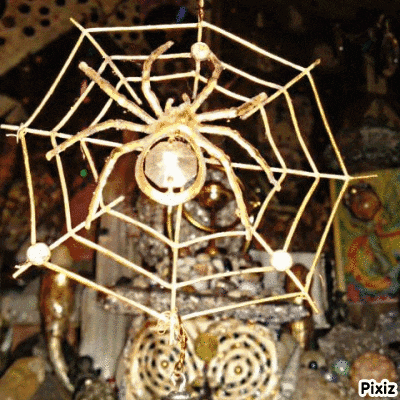 a pixiz photo of a spider web with a spider in the center