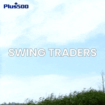 Swing Swing-n-slide GIF - Swing Swing-n-slide Trading GIFs