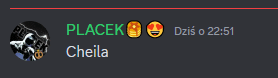 a screenshot of a chat with placek and cheila on it