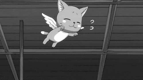 Fairy Tail Happy GIF - Fairy Tail Happy Cat GIFs