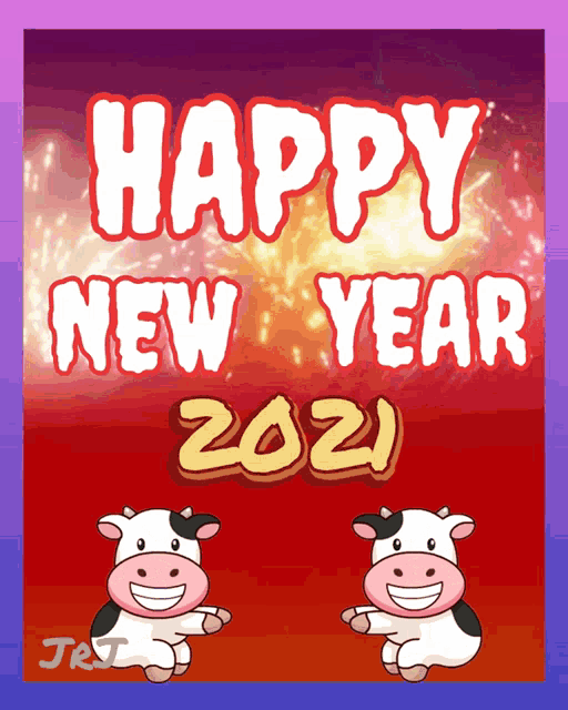 a happy new year 2021 greeting card with cows