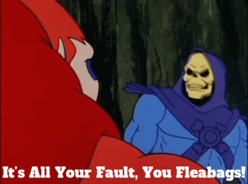 Skeletor Its All Your Fault GIF