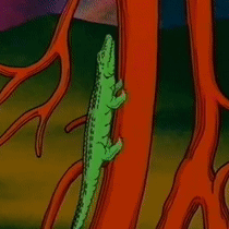 Kglw King Gizzard GIF - Kglw King Gizzard King Gizzard And The Lizard Wizard GIFs