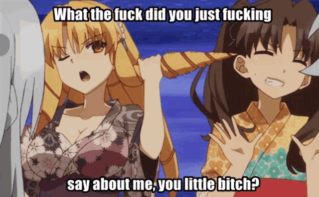 a picture of anime girls with the caption what the fuck did you just fucking say about me you little bitch ?