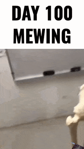 Mewing Skeleton GIF - Mewing Skeleton Skeleton Mewing GIFs