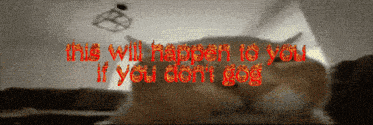 a picture of a cat and the words " this will happen to you if you don 't go "