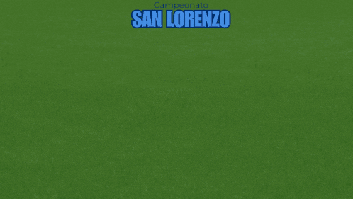 a soccer field with the words san lorenzo clasificados