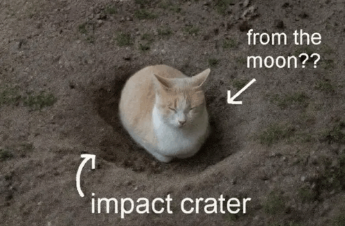 a cat laying in a hole with the words from the moon impact crater