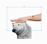 Mr Streamer Mr Streamer Pet GIF - Mr Streamer Mr Streamer Pet Polar Bear GIFs