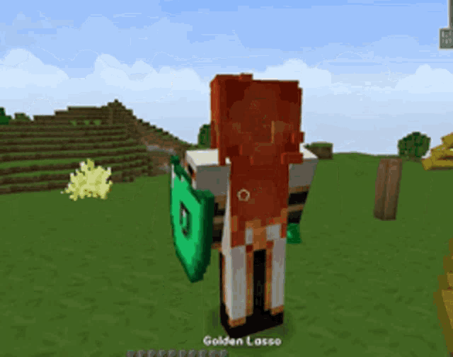 a minecraft character holding a green shield with the name golden lasso on the bottom right