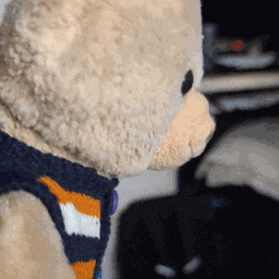a close up of a teddy bear wearing a sweater