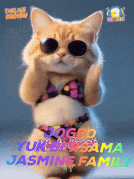 a cat wearing sunglasses and a bikini with the name jasmine family