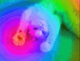 a pixelated image of a puppy in a rainbow background