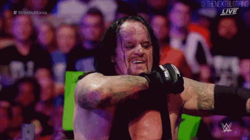 Roman Reigns The Undertaker GIF - Roman Reigns The Undertaker Spear GIFs