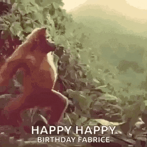 a monkey is jumping in the air with the words `` happy happy birthday fabrice '' written below it .