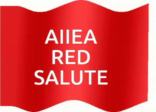 Aiiea Red Salute GIF - Aiiea Red Salute Red Flag GIFs