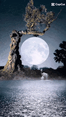 a picture of a full moon with a tree in the foreground