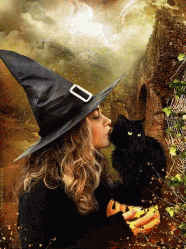 Cat Witch GIF - Cat Witch Fantasy GIFs