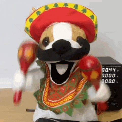 a stuffed animal is wearing a sombrero and playing maracas
