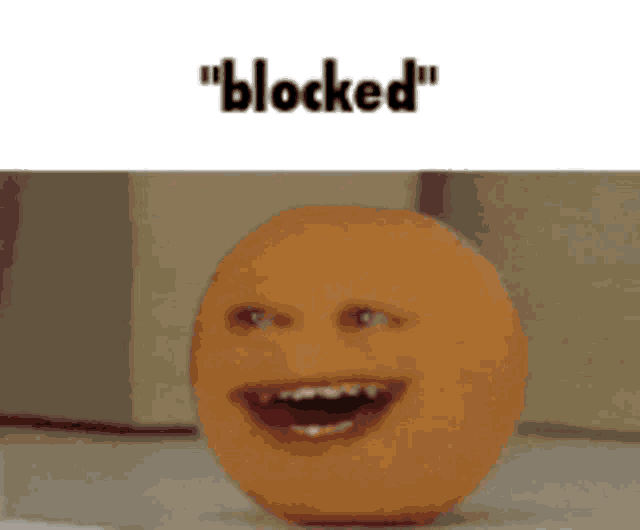 Blocked GIF - Blocked GIFs