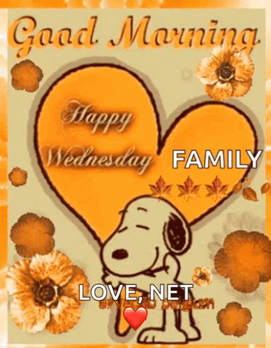 Wednesday Blessings GIF - Wednesday Blessings Quotes GIFs