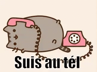 Tél Suis Au Tel Chat Télépone GIF - Phone Cat GIFs
