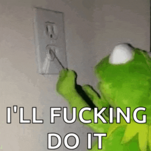 kermit the frog is plugging a cord into a light switch and saying `` i 'll fucking do it '' .