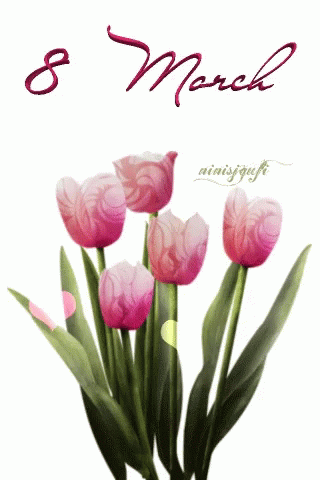 March8 March_8 GIF - March8 March_8 Tulips GIFs