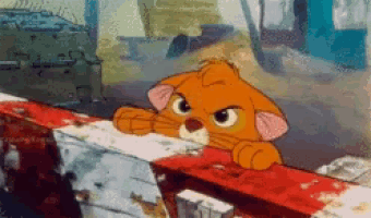 a cartoon cat looking out a window with a very angry look on his face