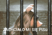 a picture of a pig behind bars with the words zachcialo mi sie pisu