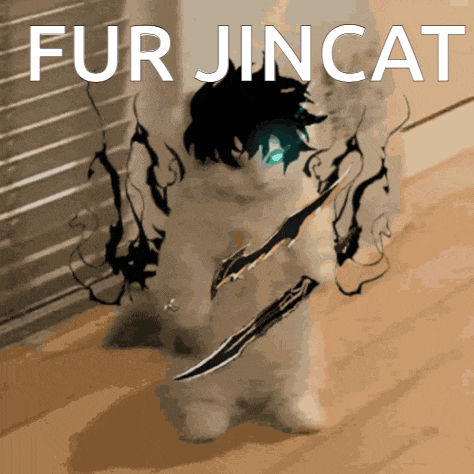 a picture of a cat with a sword and the words fur jincat