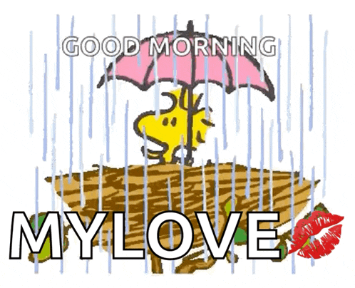 a cartoon of snoopy holding an umbrella in the rain with the words " good morning my love "