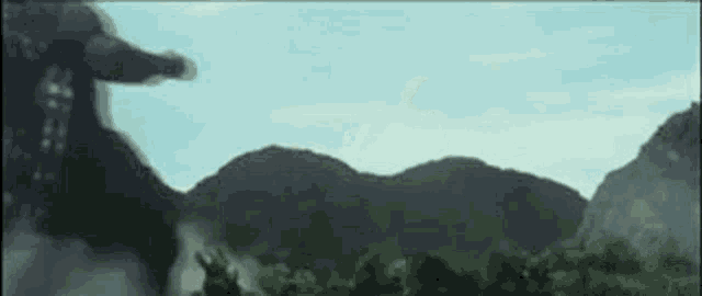a man is standing in front of a mountain in a field .
