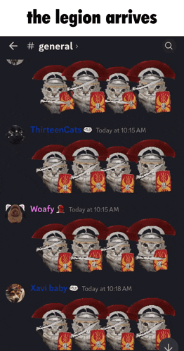 a group of cats wearing roman helmets and shields with the words " the legion arrives " at the top