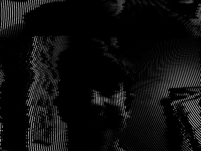 a black and white photo of a woman 's face with a striped pattern .